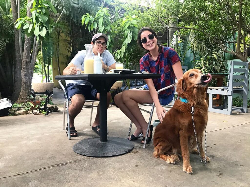 Restaurantes Pet friendly en Mérida Con las mejores Opiniones de usuarios