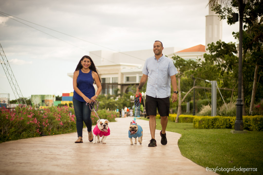 Restaurantes gourmet pet friendly en Mérida