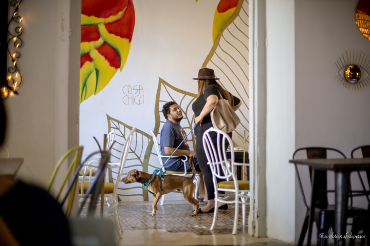 casa chica restaurante pet friendly en merida