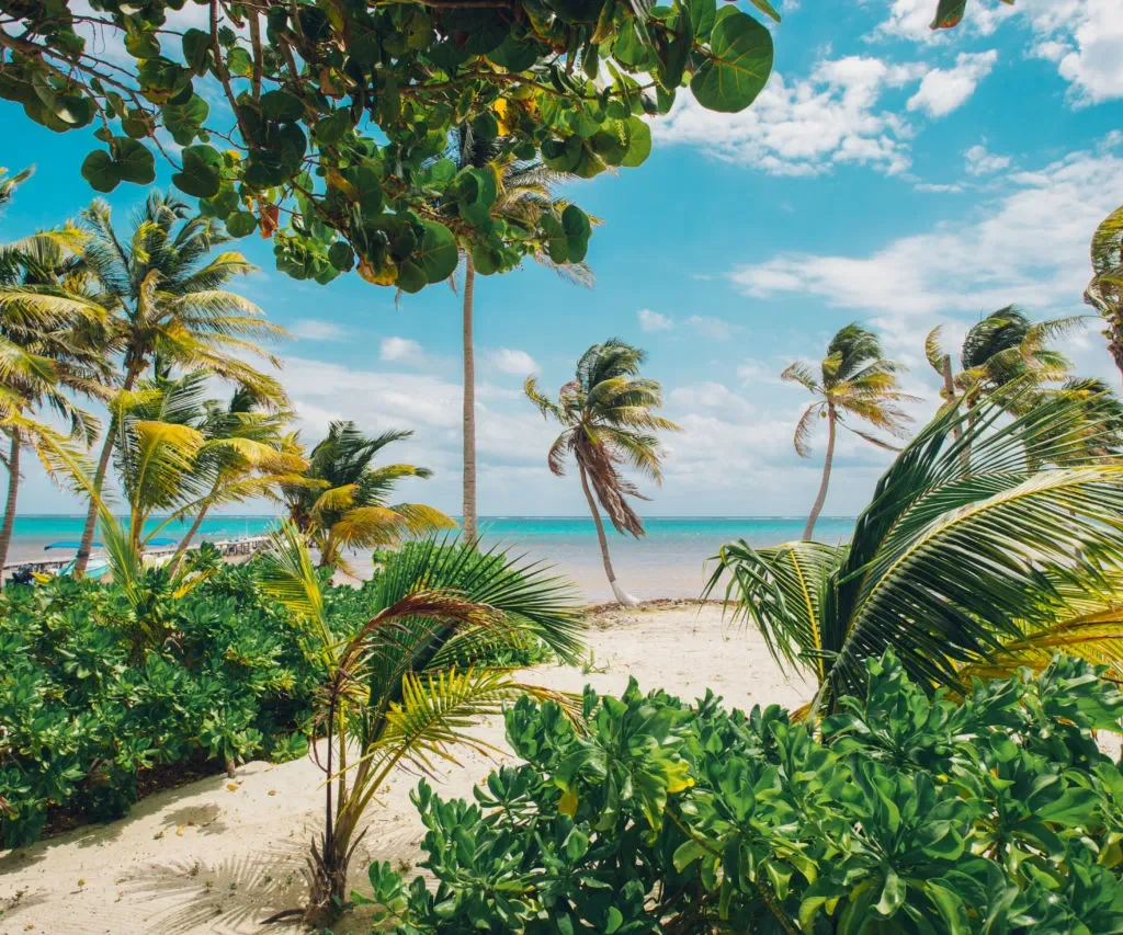 Playas Virgenes en Yucatán |  Los Tesoros Ocultos del Caribe Mexicano