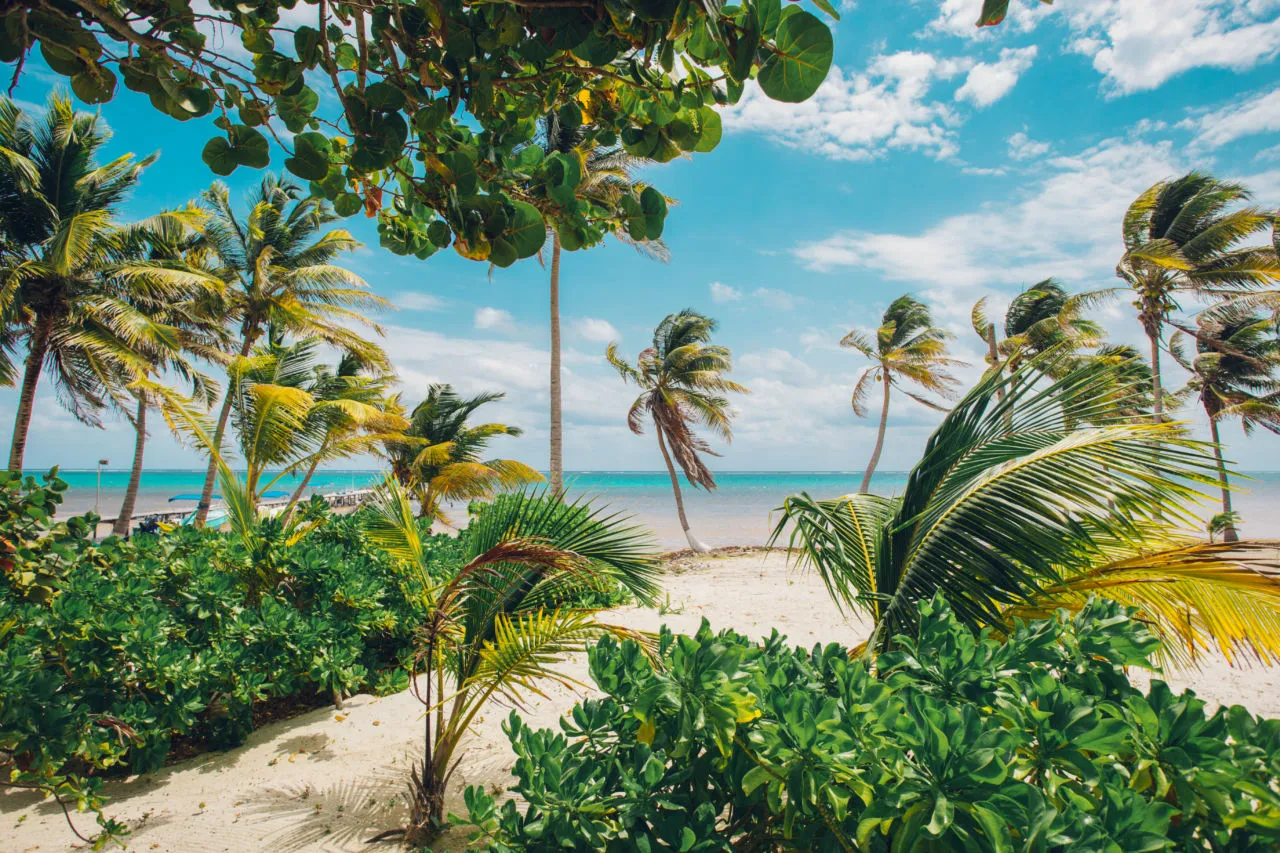 Playas Virgenes en Yucatán |  Los Tesoros Ocultos del Caribe Mexicano