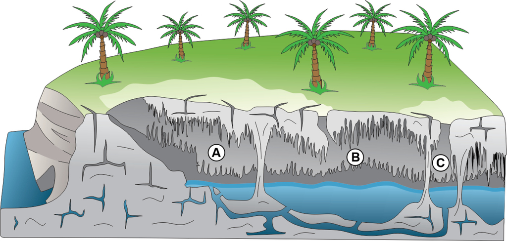 cómo se forma un cenote