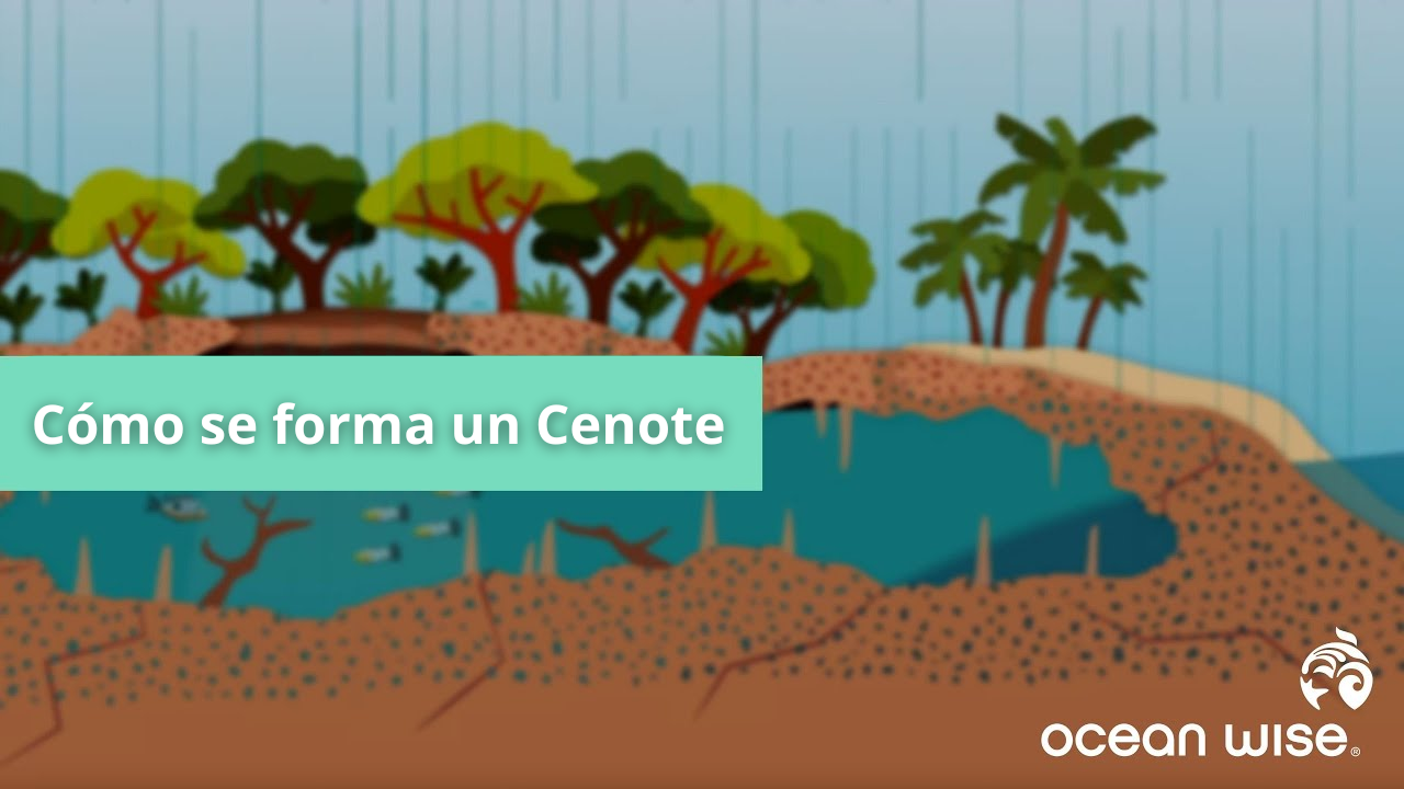 como se forma un cenote