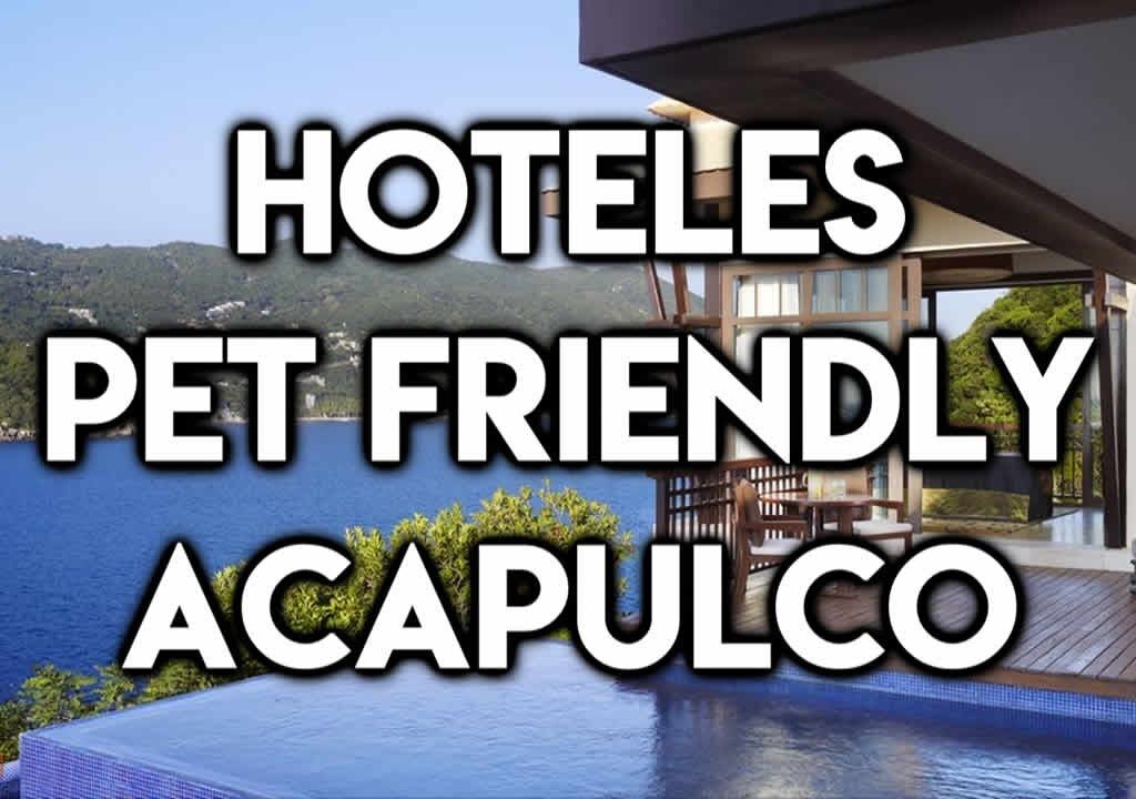 Hoteles pet friendly en Acapulco