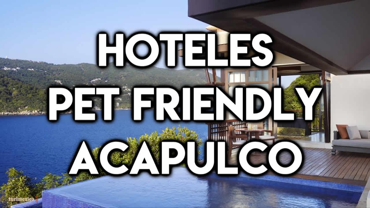 Hoteles pet friendly en Acapulco